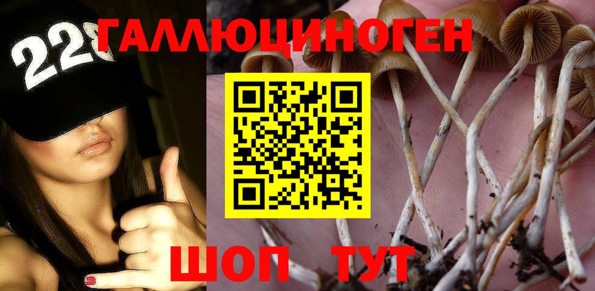 Новоалтайск  Псилоцибиновые грибы мицелий  Галлюциногенные грибы Psilocybine cubensis  Вход с VPN 