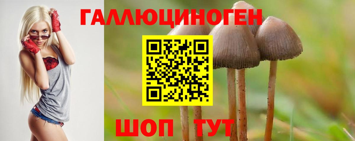 Галлюциногенные грибы MAGIC MUSHROOMS Новоалтайск